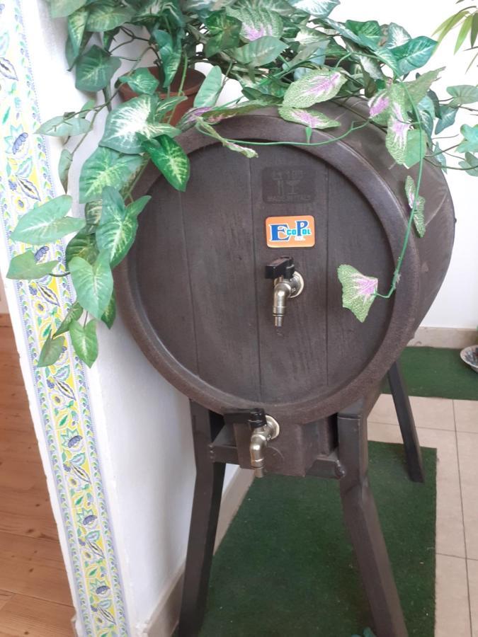 B&B Mistral Di Lizzio Salvatore Giarre Zewnętrze zdjęcie